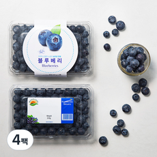 PSK 칠레산 블루베리, 310g, 4팩