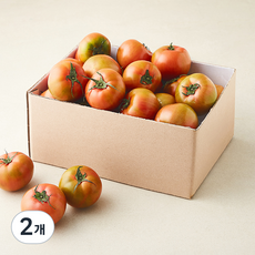 곰곰 대저 토마토(2s~M), 2개, 2.5kg