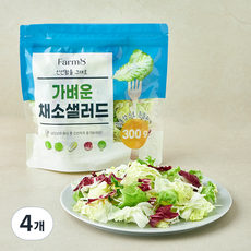 팜에이트 가벼운 채소샐러드, 300g, 4개