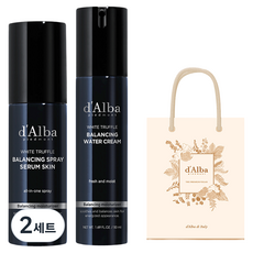 달바 올인원 맨즈 밸런싱 스프레이 세럼 스킨 80ml + 올인원 맨즈 밸런싱 워터 크림 50ml 기프트백 세트, 2세트