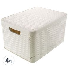 MEO 라탄 접이식 폴딩박스 M, 아이보리, 4개
