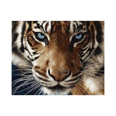 Play about DIY 名畫繪圖套組 40 x 50 cm, 藍眼老虎