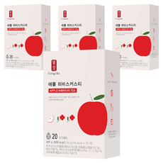 공차 애플히비스커스티, 20g, 20개입, 4개
