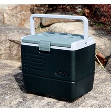 cosmos 保冰箱 WJ-717, 混色, 13L