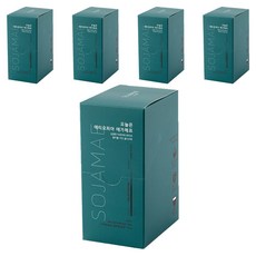 소자매 오늘은 에티오피아 예가체프 콜드브루 파우치, 30ml, 10개입, 5개