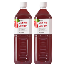 이제부터 냉침한 진짜 오미자 진액, 1L, 1개입, 2개