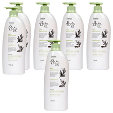 엘라스틴 윤슬 컨디셔너 시트러스 허브향, 750ml, 6개