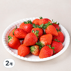 엄마는농부 김제 설향 딸기, 750g, 2개