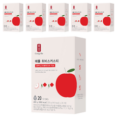 공차 애플히비스커스티, 20g, 20개입, 6개