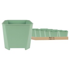 Vegetable Seed 蔬菜工坊 多肉透氣四方矮盆, 10個, 北歐綠
