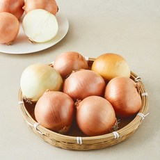 수입산 양파, 1개, 14.7kg