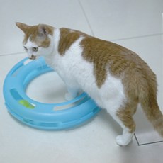 Bluepaw貓咪大環玩具, 藍色, 1個