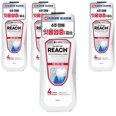 리치 프로페셔널 잇몸 전문 제로 구강청결제, 760ml, 4개
