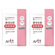 九五之丹 酵母B群 + 微膠囊鐵, 含Lalmin酵母鋅300mg, MacaPro瑪卡4000mg, liboost透納葉300mg, 30顆, 2包