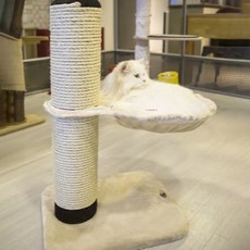 單層貓跳台, 混色, 1個