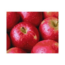 Playerbout DIY 傑作繪畫套裝 40 x 50 厘米, 豐富的紅蘋果