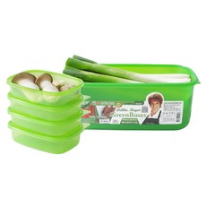 Debbie Meyer Green Box 頂級居家系列大容量保鮮盒 06號套組, 1套, Green Box 946ml 4入 + 大容量保鮮盒 5.6L