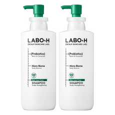 라보에이치 두피강화 클리닉 탈모증상완화 샴푸, 400ml, 2개