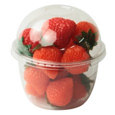 Inp PET 冰杯 10oz 300ml 9.8 x 5.6 x 6.1 cm + 圓頂無孔蓋組, 1套