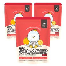 Little Spoon 孩童爆米香, 橘子口味, 30g, 3包