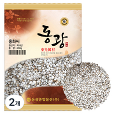 동광한방몰 국내산 홍화자 홍화씨, 600g, 2개