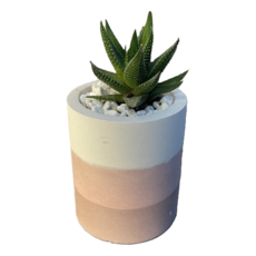 盞樂空間 中圓底水泥盆 10.5 x 9cm 油墨山嵐配色 多肉植物, 1個