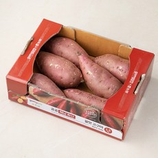 곰곰 x 농협 해남 화산 꿀맛 고구마, 1.5kg, 1개