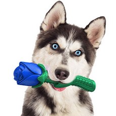 DING DONG PET 狗狗玫瑰花玩具 17 x 5 cm, 藍色, 1個