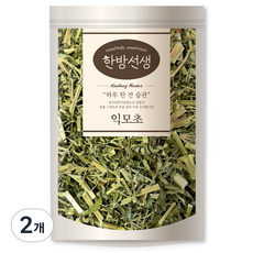 한방선생 국내산 익모초, 500g, 2개