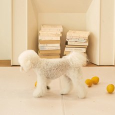 Noon Dog 寵物遊戲墊 2入, 粉紅色方式