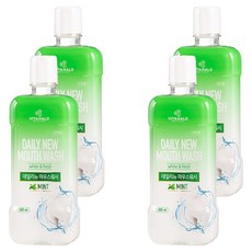 비타할로 데일리뉴 마우스워시 민트, 800ml, 4개