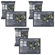 Loyalty 口袋型暖暖包 M 100g 10入, 3袋