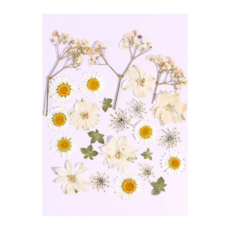 絲暮成雪 真花壓花包 量販包, 天然壓花DIY組合包, 多種顏色皆可挑選, 1包