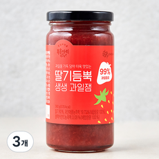 복음자리 과일 99% 딸기 듬뿍 생생과일잼, 380g, 3개