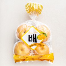 다조은 당도선별 신고 배 4입, 1.6kg, 1봉