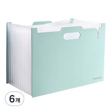 TUCO.B 透明索引13層風琴夾, 綠色, 6個