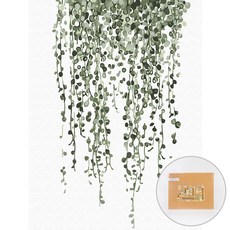 아트조이 DIY 명화그리기 30 x 40 cm, 스트링 오브 펄, 1개