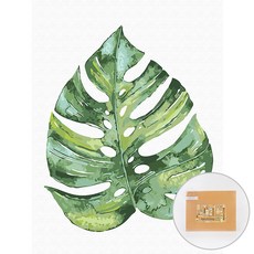 아트조이 DIY 명화그리기 30 x 40 cm, 몬스테라, 1개