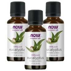 NOW Foods 純尤加利精油 30ml, 3瓶