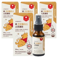 네추럴라이즈 비 프로폴리스 스프레이, 30ml, 4개