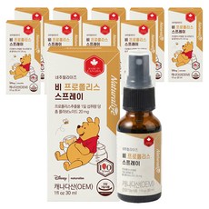 네추럴라이즈 비 프로폴리스 스프레이, 30ml, 10개