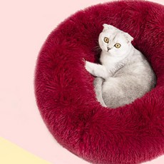 우리집 댕냥이들 껌딱지 마약방석, 와인, 1개