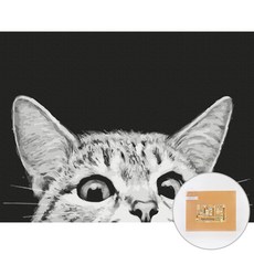 ARTJOY DIY繪畫畫作 40*30cm, 喵咪探頭款, 1個