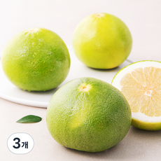 과일엔 스테비아 청자몽 3입, 900g, 3개