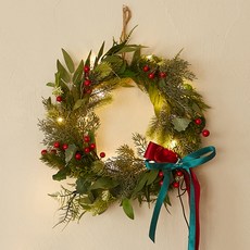 Aspasia Lunaris 天然聖誕花環, 綠色