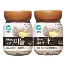맛선생 국내산 마늘 향신료, 30g, 2개