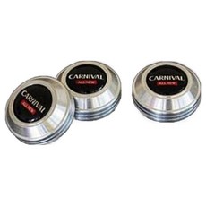 鋁製Logo車牌螺絲 All New Carnival/Carnival 鍍鉻銀[3入1組], 3個, All New Carnival/Carnival(鍍鉻銀)