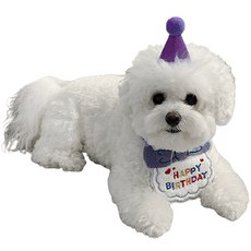 寵物生日派對道具圍巾+帽子組, 紫色, 1套