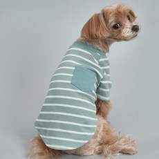 DOG-i 狗狗口袋條紋T恤, 薄荷綠