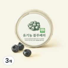 온브릭스 주식회사 농업회사법인 유기농 인증 바로먹는 블루베리, 3개, 100g